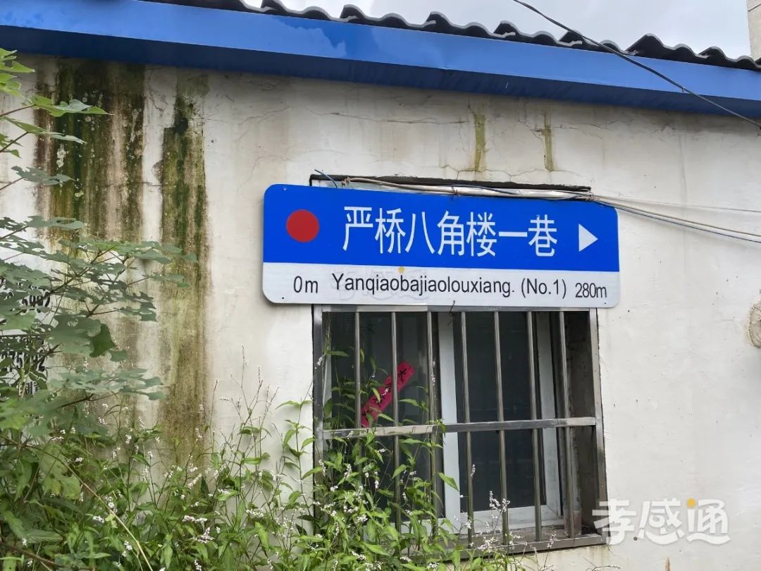 孝感 八角樓 拆遷