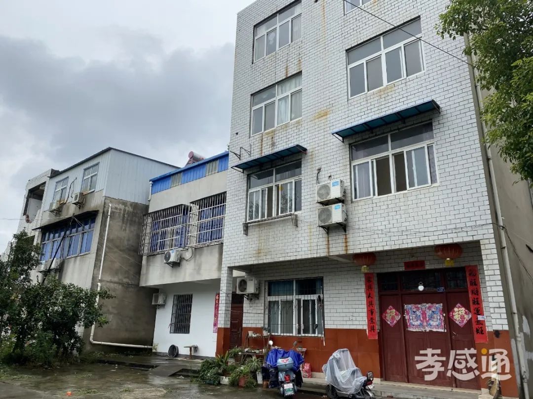 孝感 八角樓 改造