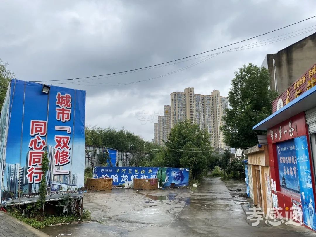 孝感 八角樓 改造