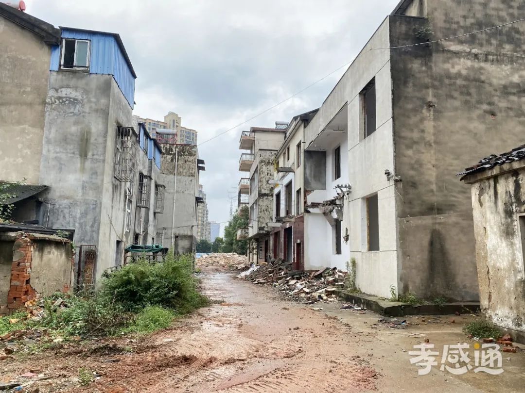 孝感 八角樓 改造