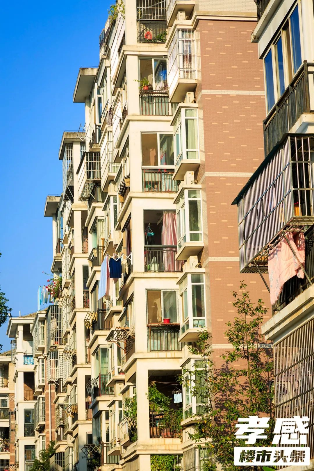 孝感 區(qū)域 買房