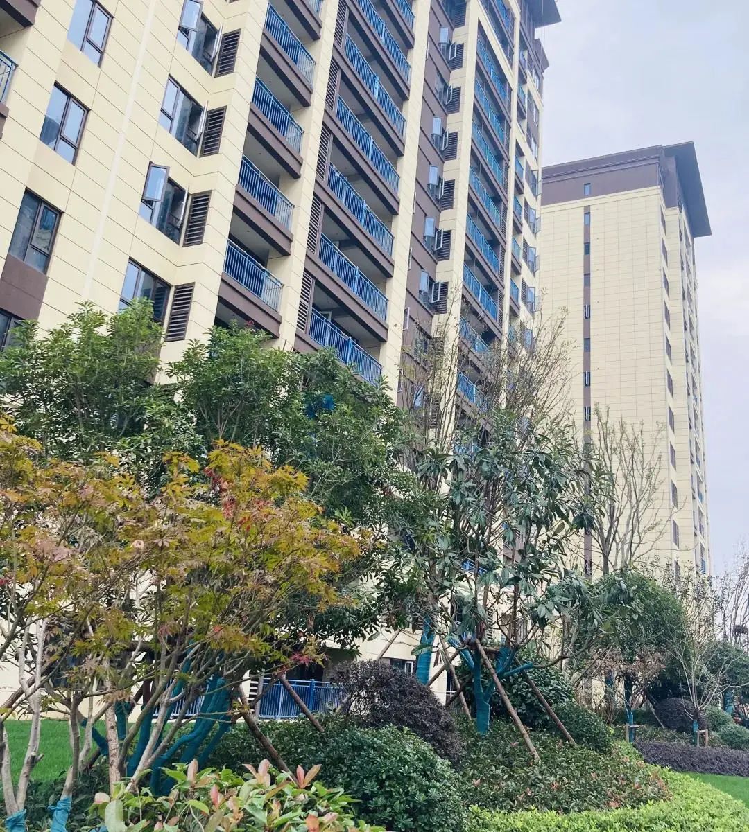 孝感 百強(qiáng)房企