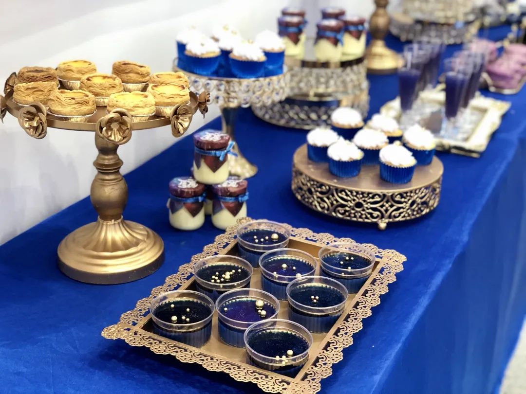 碧桂園 星悅灣 展廳開放