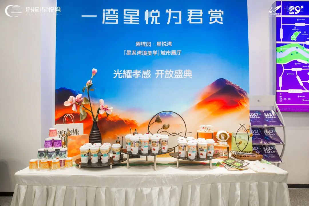 碧桂園 星悅灣 展廳開放