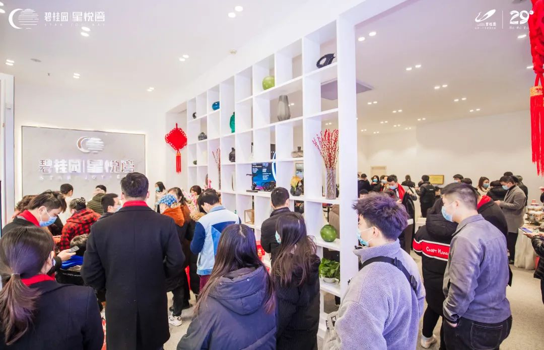 碧桂園 星悅灣 展廳開放