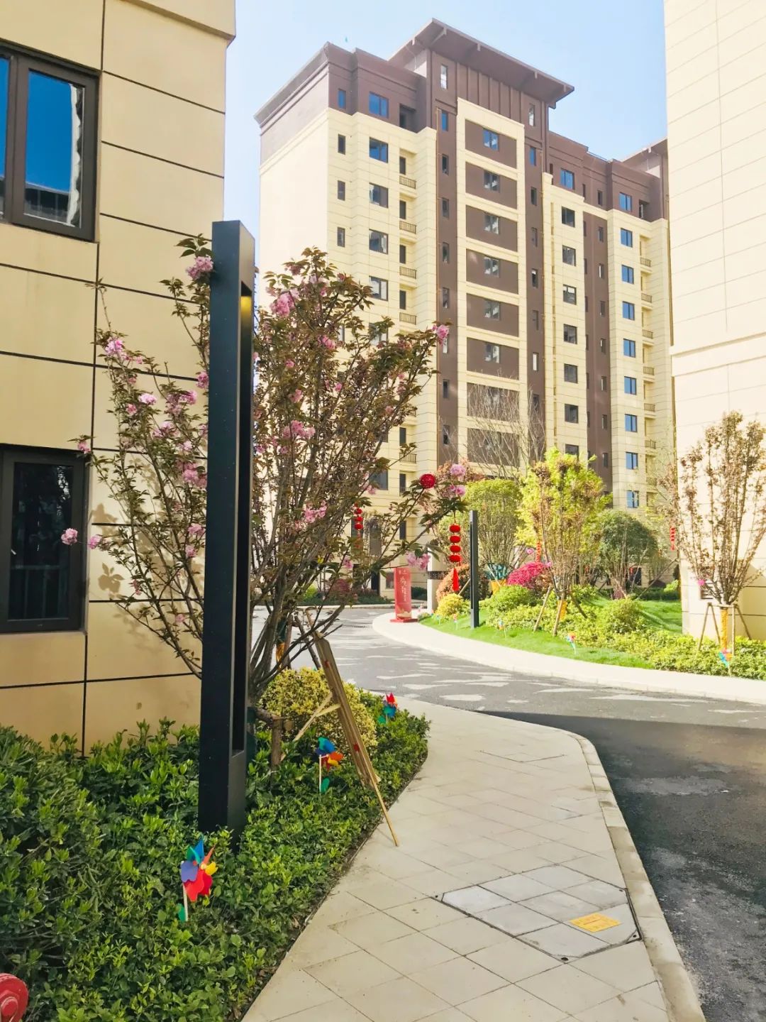 當(dāng)代拾光里