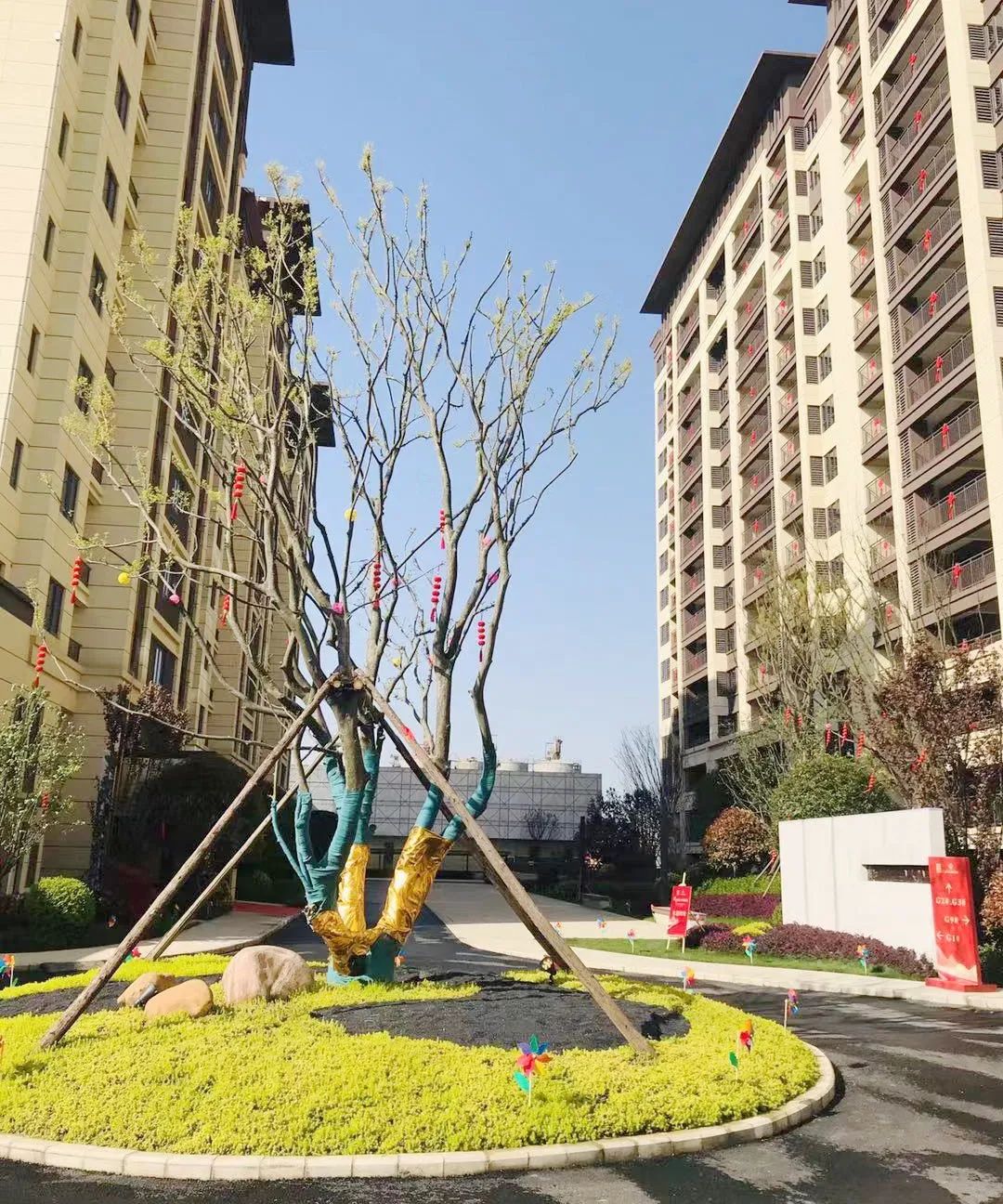 當(dāng)代拾光里