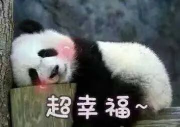 投資46億！老澴河改造二期正式開工！