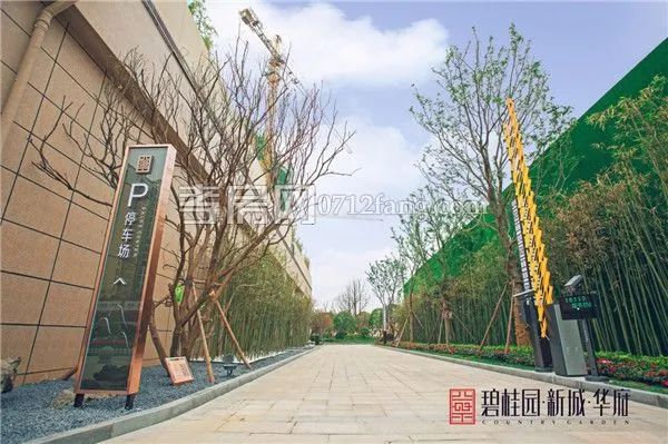 孝感 樓市 物業(yè)百?gòu)?qiáng)