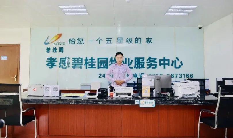 孝感碧桂園·桃源