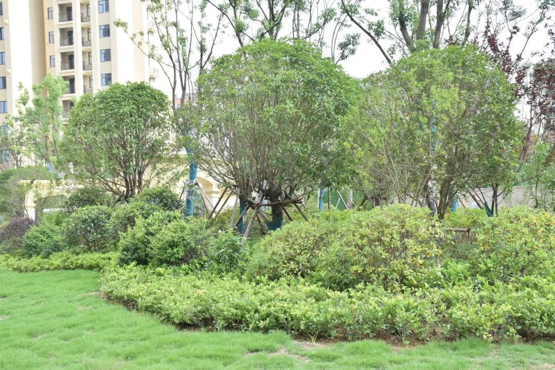 孝感 樓市 現(xiàn)房 盤點