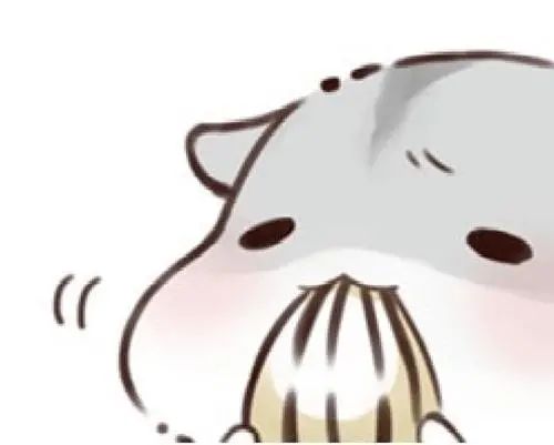 2021年孝感城區(qū)幼升小/小升初網(wǎng)上報名操作指南來了！