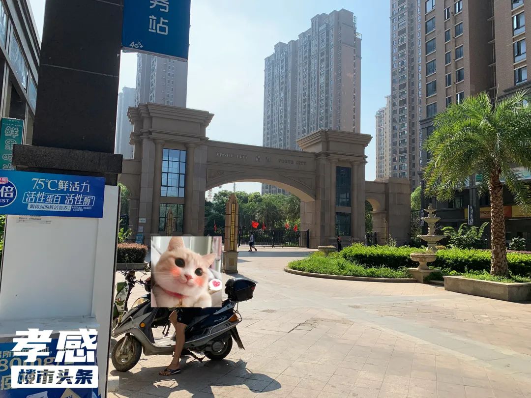 孝感 樓市 熱門 小區(qū)