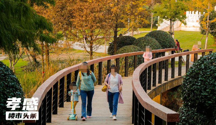 孝感 樓市 別墅 大平層