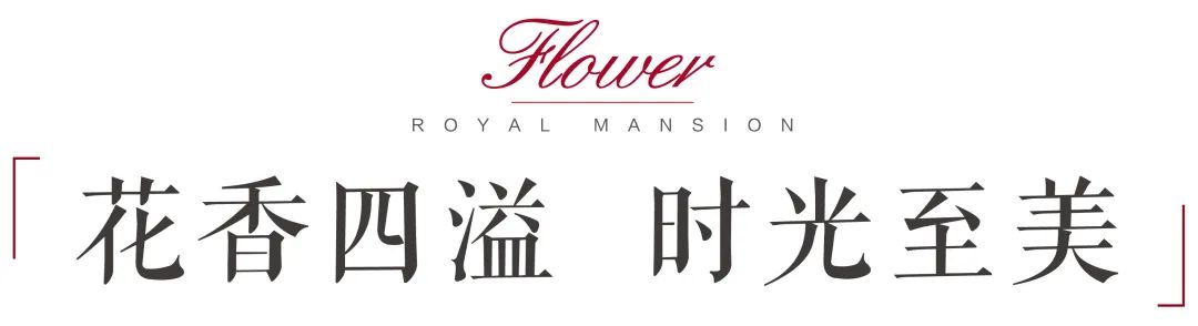 楚霖鼎觀世界五期紫境