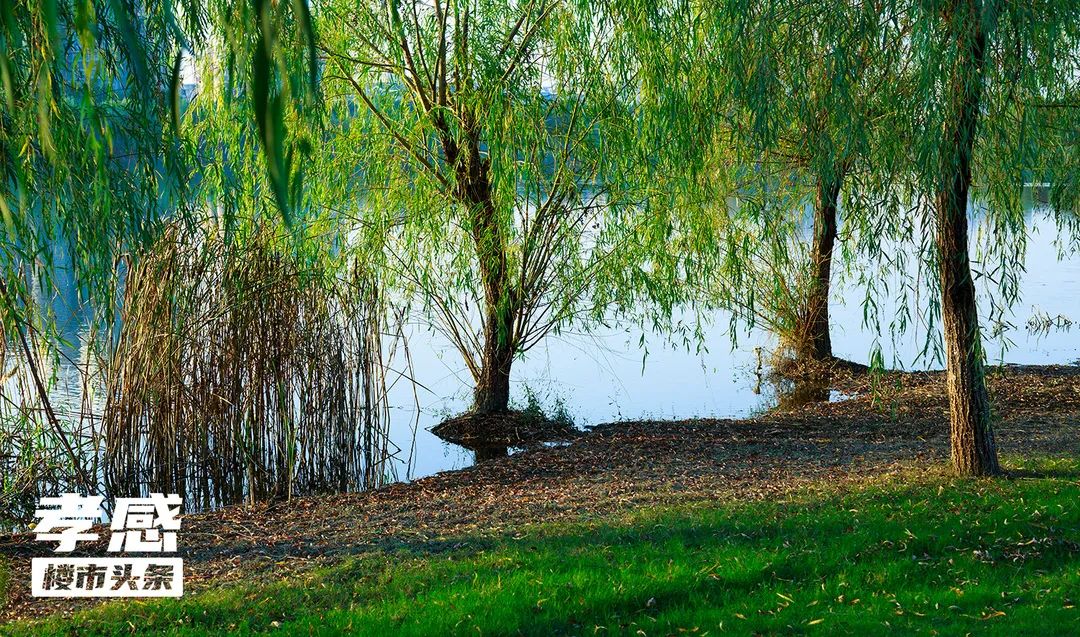 孝感 薪資 月供