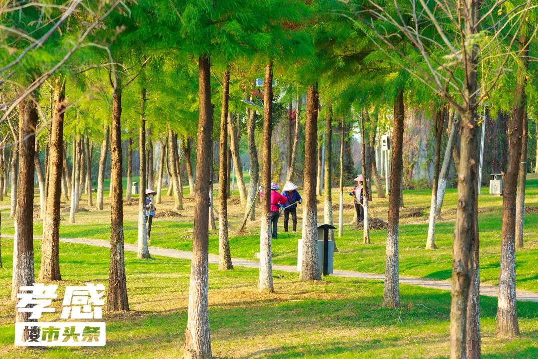 孝感 房價(jià) 二手房