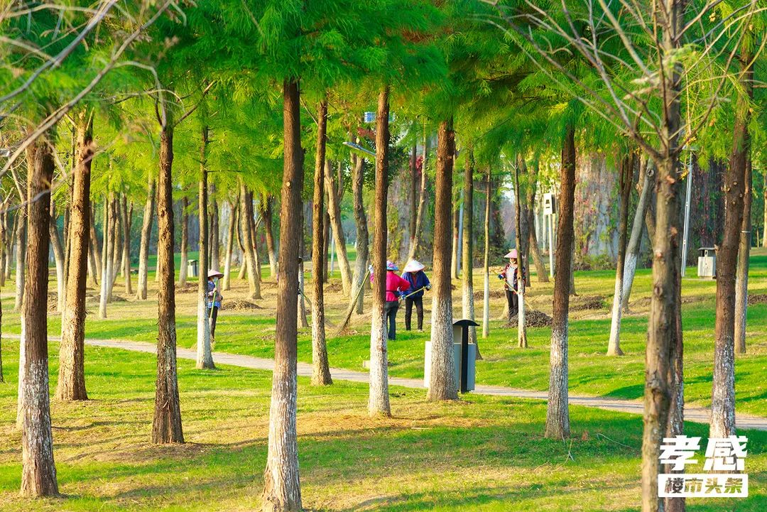 六大區(qū)域天花板