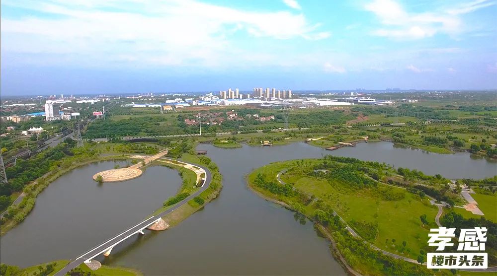 六大區(qū)域天花板