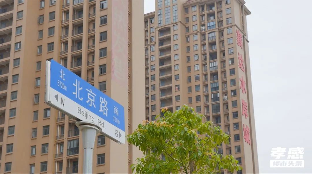 六大區(qū)域天花板