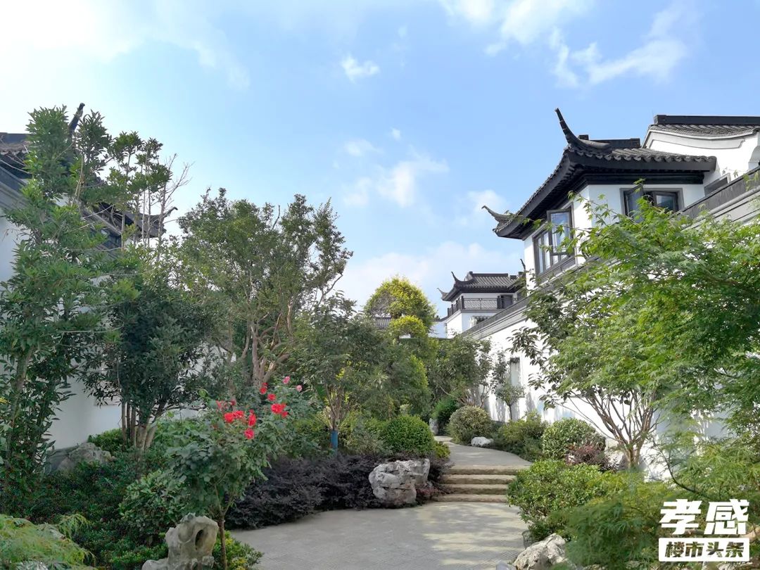 六大區(qū)域天花板