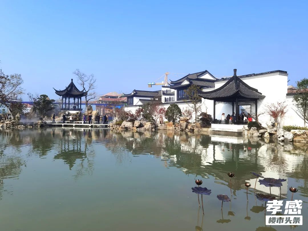 六大區(qū)域天花板