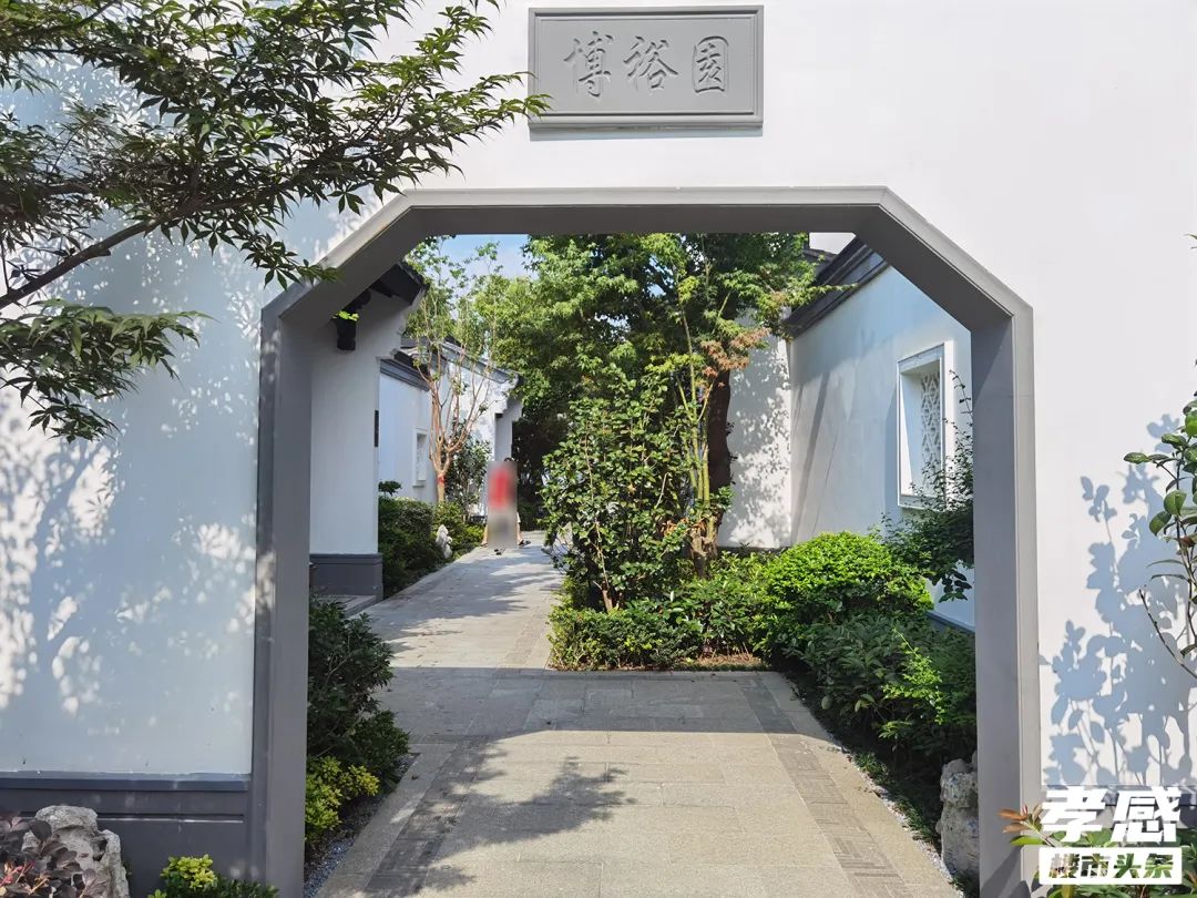 六大區(qū)域天花板