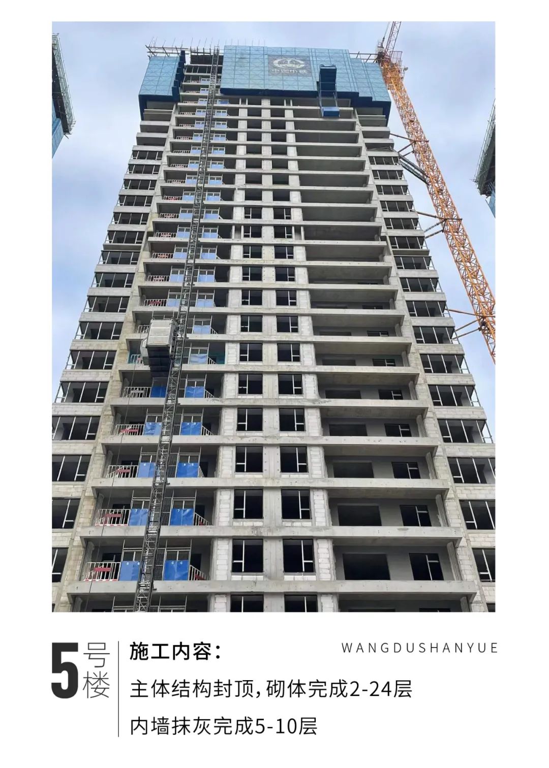 項目工程進(jìn)度圖