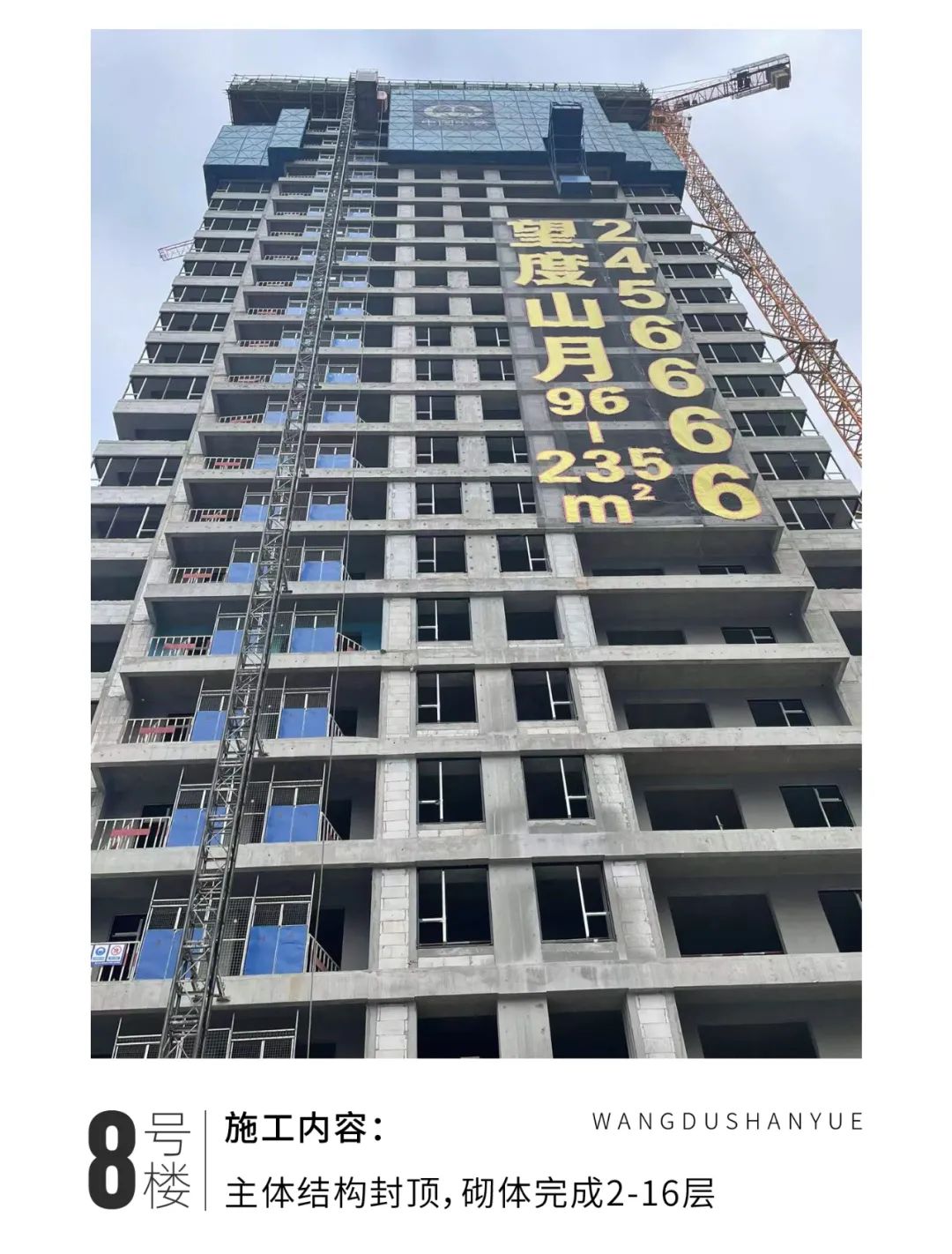 項目工程進(jìn)度圖