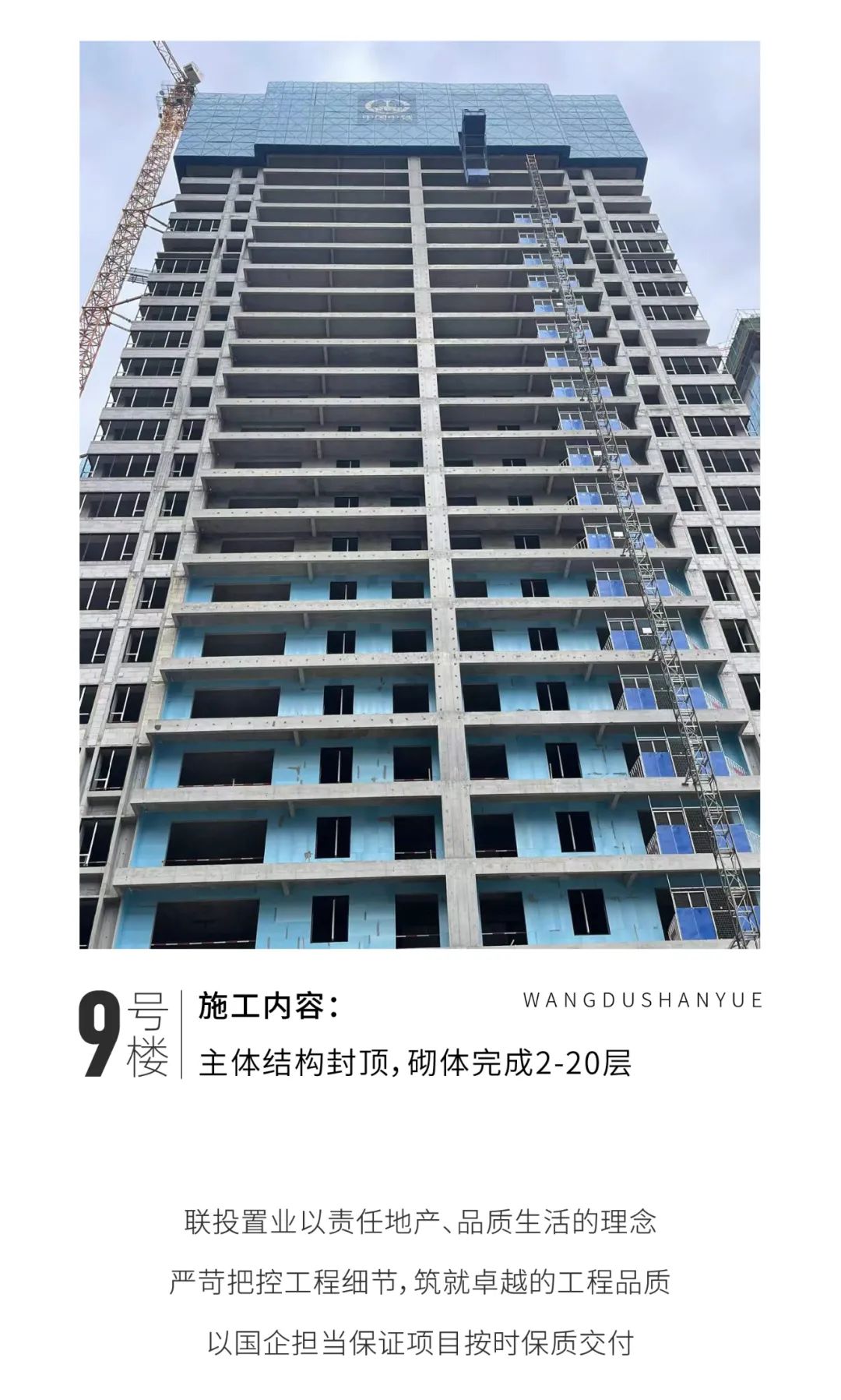 項目工程進(jìn)度圖