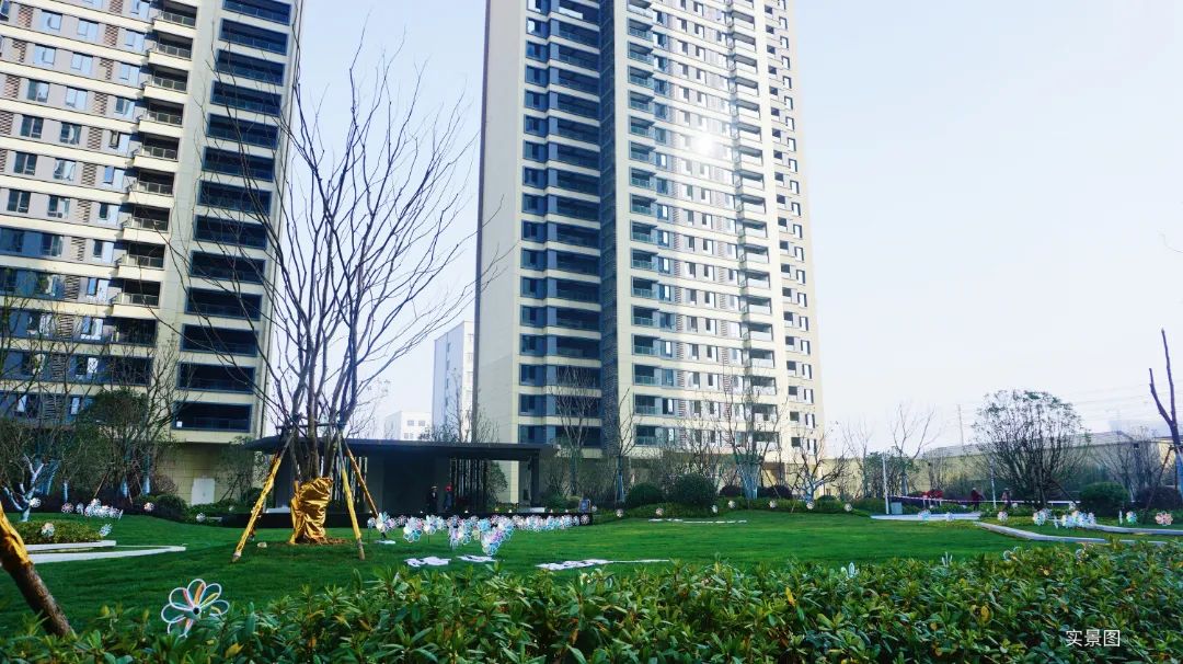 項(xiàng)目實(shí)景圖