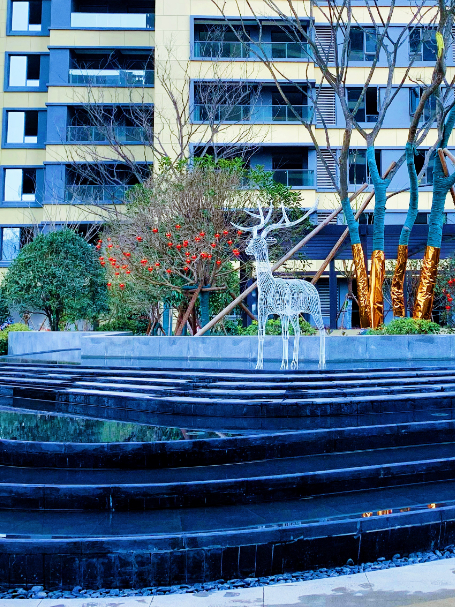 項(xiàng)目實(shí)景圖