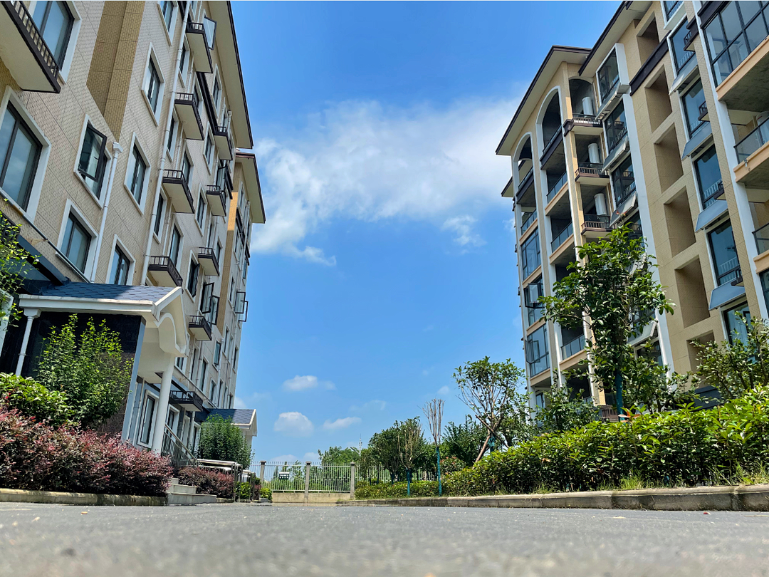 項(xiàng)目實(shí)景圖