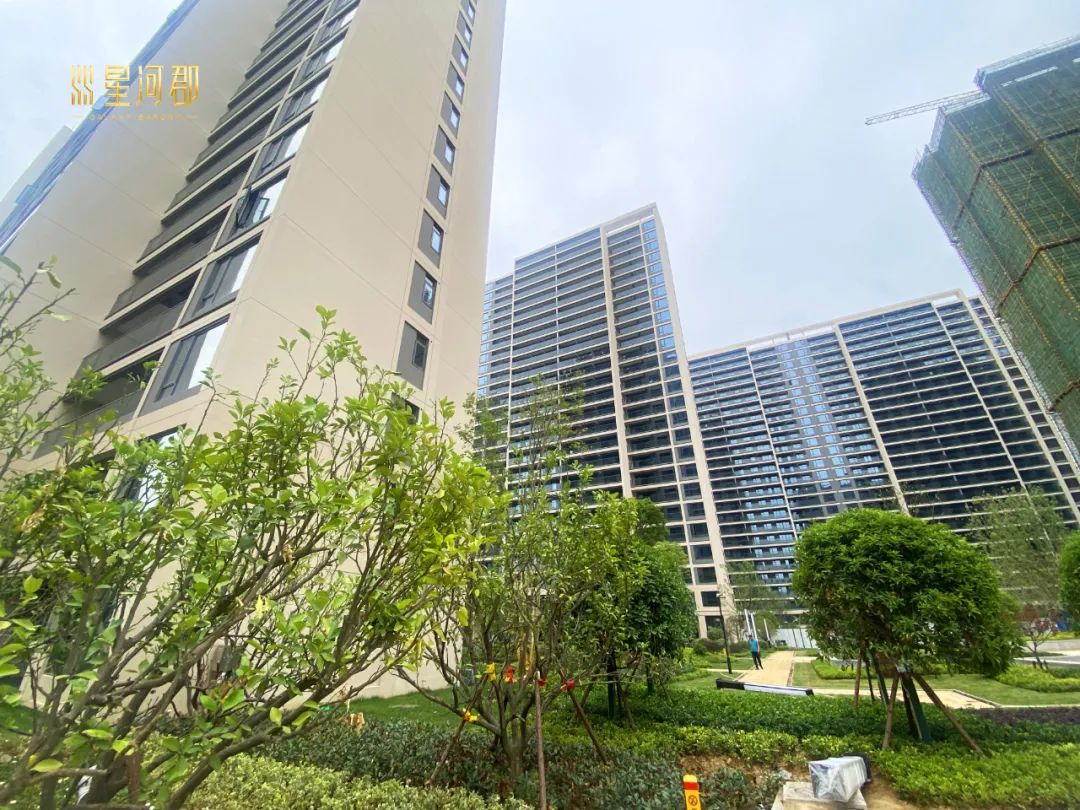 星河郡進(jìn)度