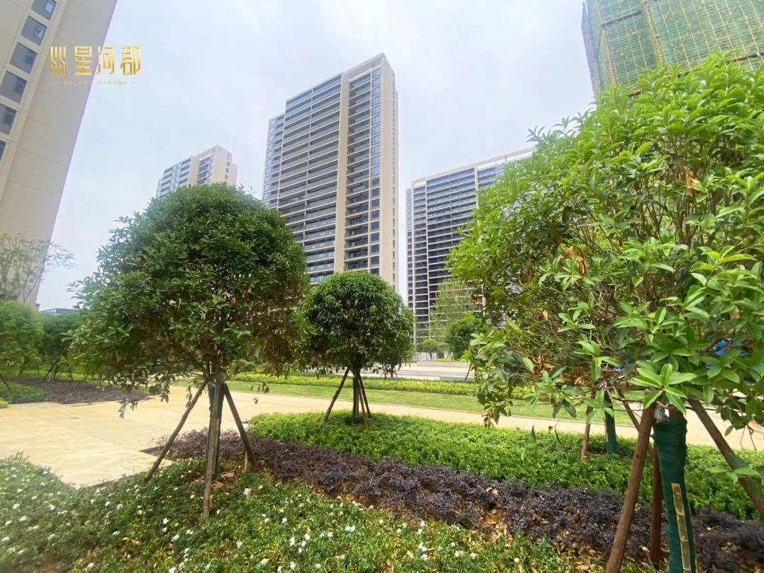 星河郡進(jìn)度