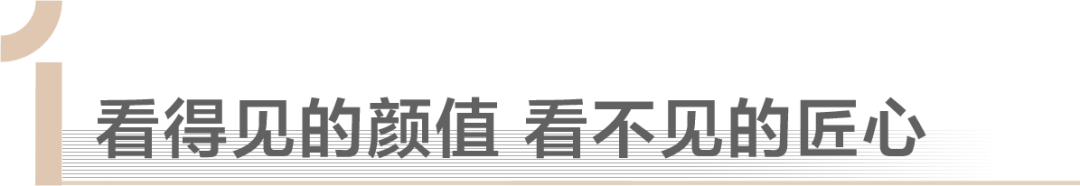 金科集美府交付