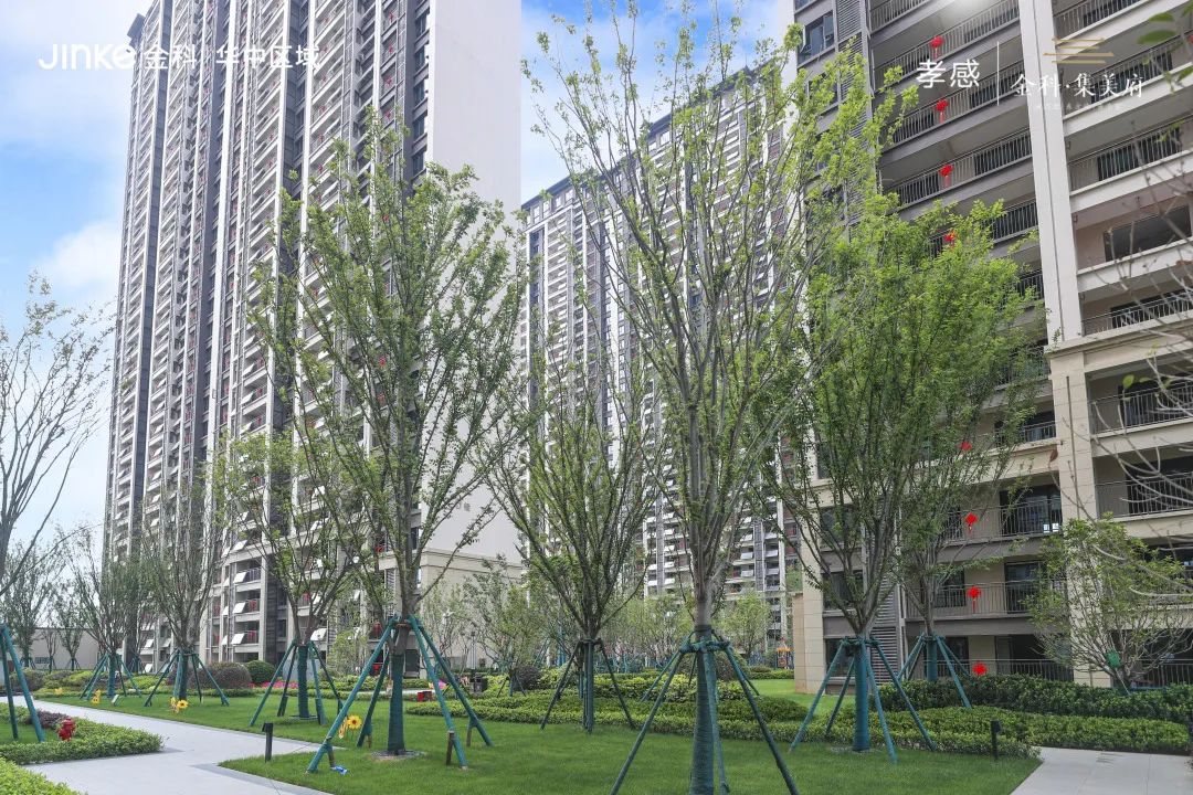 金科集美府交付