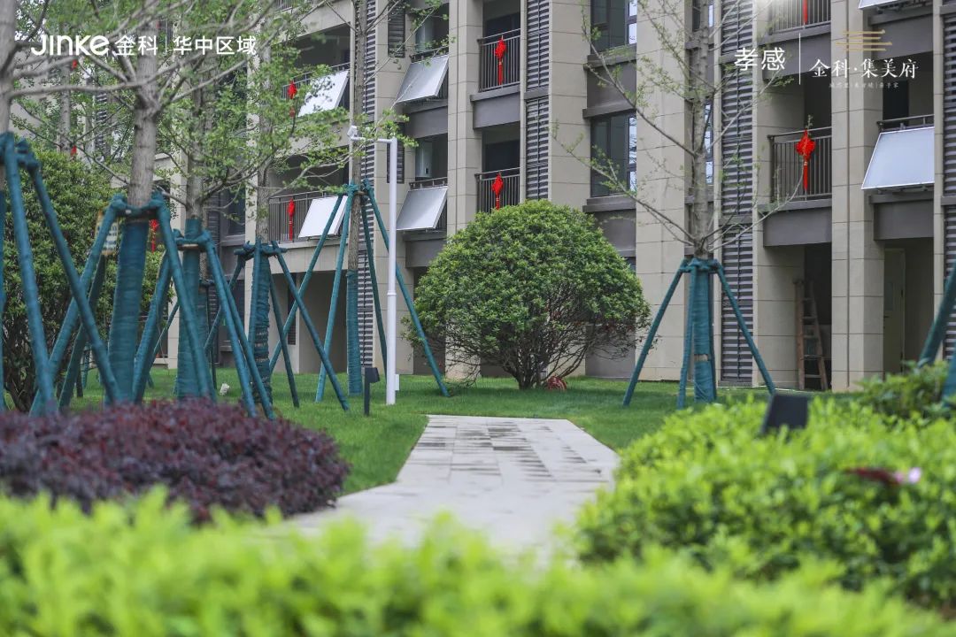 金科集美府交付