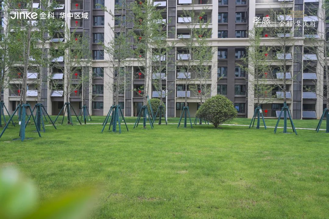 金科集美府交付