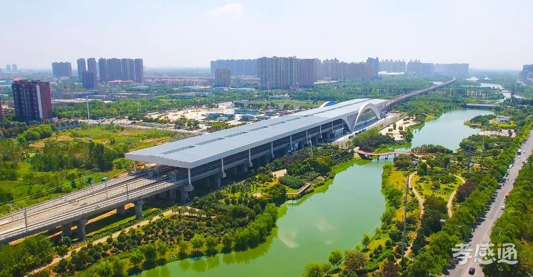 第十七屆運動會