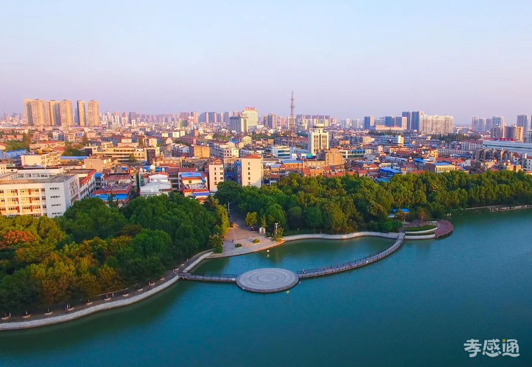 第十七屆運動會