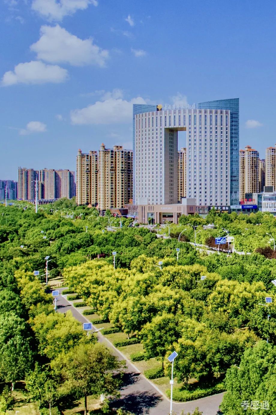 第十七屆運動會