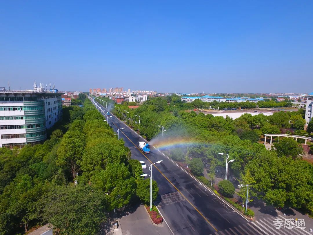 第十七屆運動會