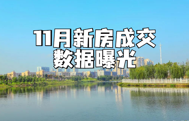 孝感多盤7折甩賣！11月新房成交數(shù)據(jù)曝光 銷量不升反降...