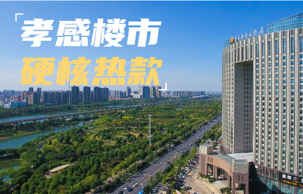 房價天花板！總價超200萬 這些才是孝感樓市的硬核熱款