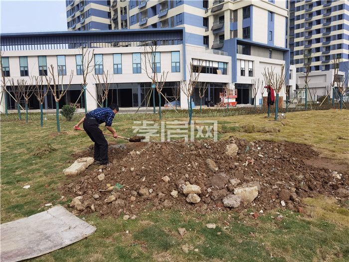 孝感、全洲天悅