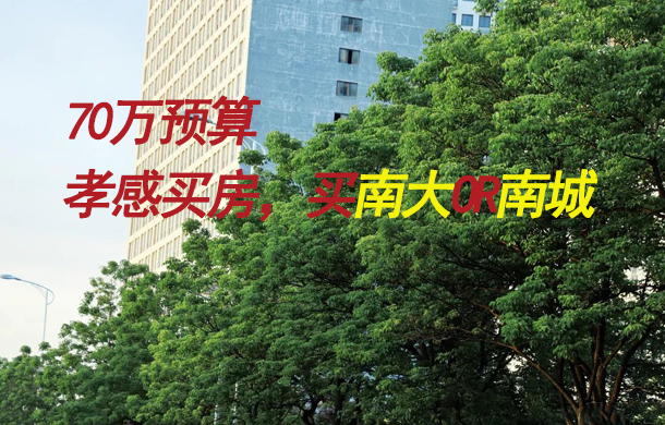 預(yù)算70萬以內(nèi)，是買南大還是南城？看完這篇再說！