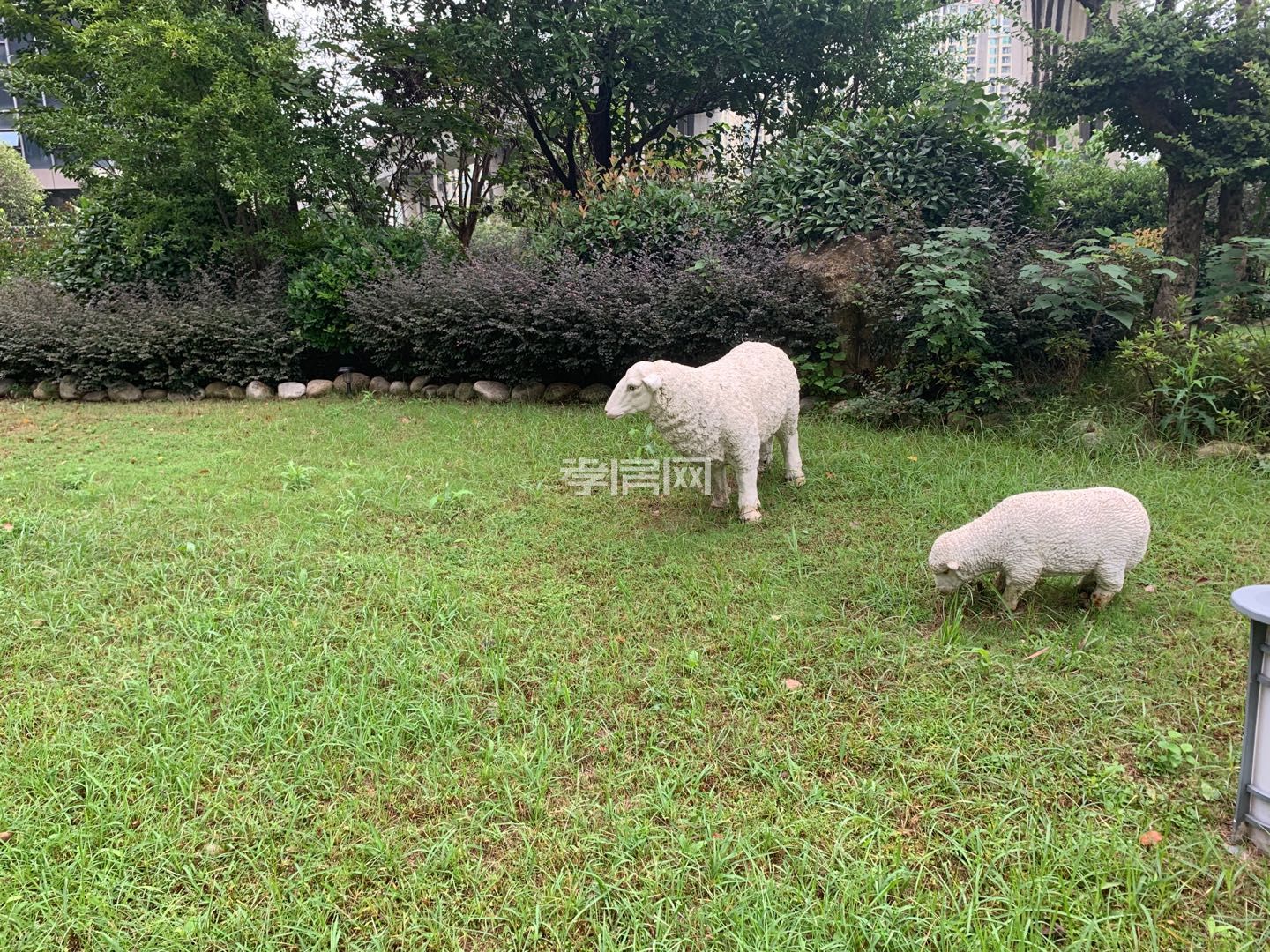 民邦槐蔭東岸三房兩廳兩衛(wèi)全朝南