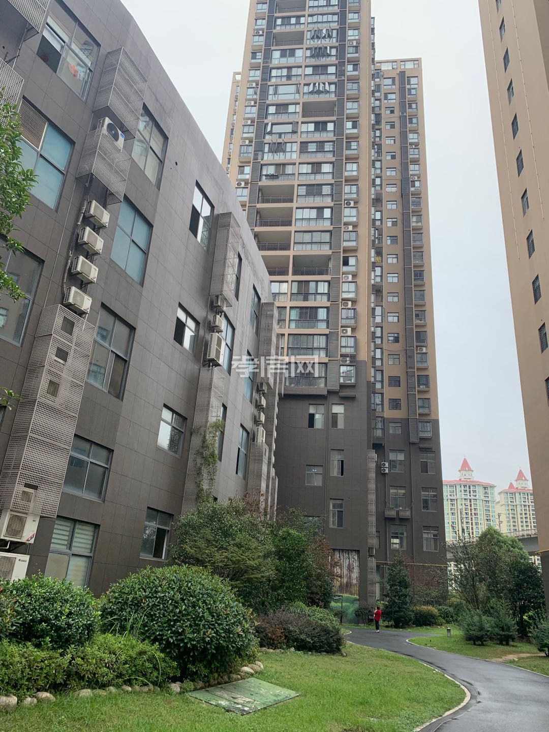 民邦槐蔭東岸三房兩廳兩衛(wèi)全朝南