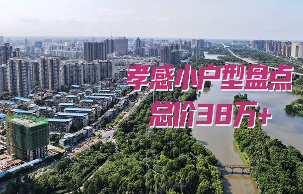 總價38萬+！孝感在售100㎡以下小戶型都在這里！